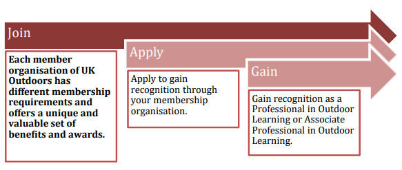 Professional Recognition Process